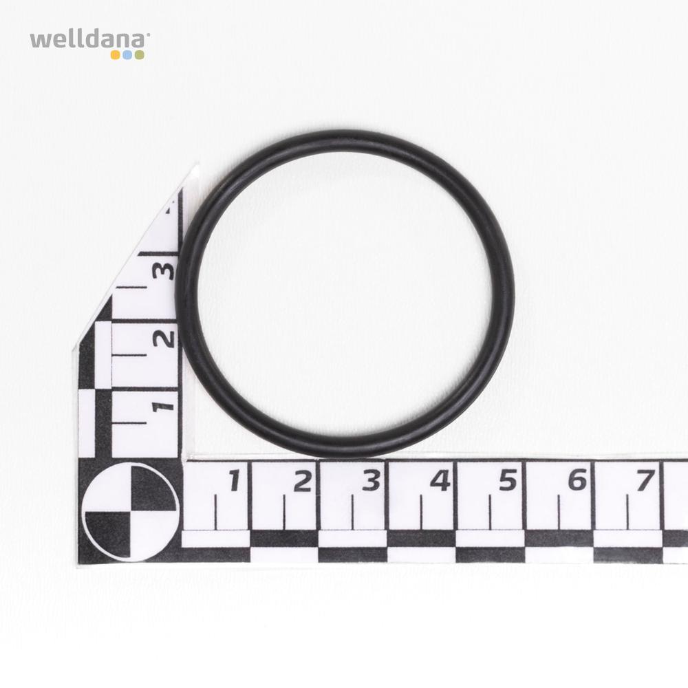 O-ring til Varmpumpe con. union 50 mm Fairland og Phnix