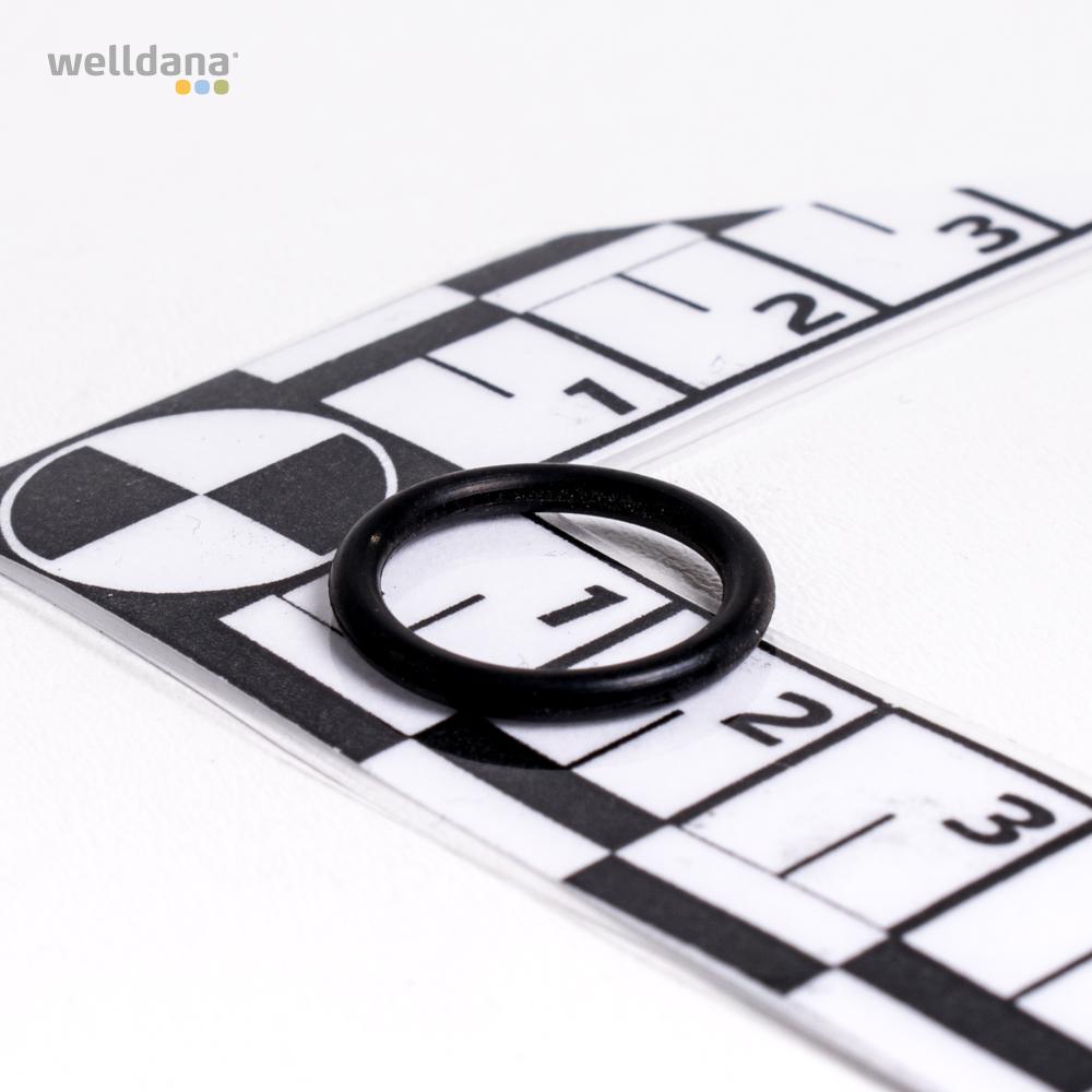 O-ring till propp 6-vägsventil Welldana® sandfilter