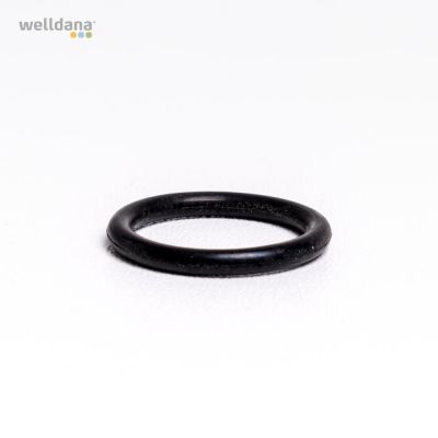 O-ring till propp 6-vägsventil Welldana® sandfilter