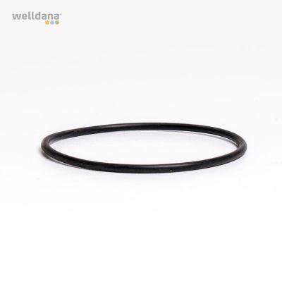 O-ring till filterrör 50 mm Welldana® sandfilter