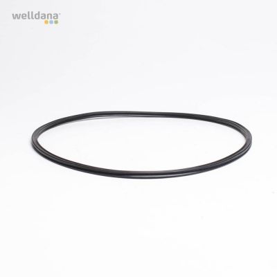 O-ring till lock Welldana® sandfilter (sidomonterat)