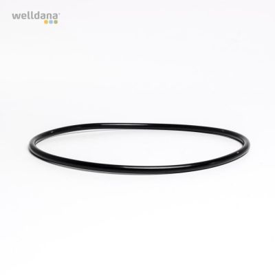 O-ring till lock, BL-filter 200,00 x 6,0 mm