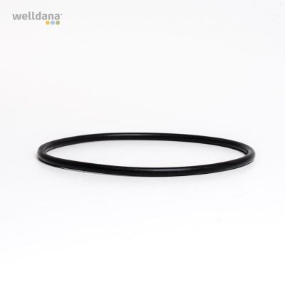 O-ring till BT filter Nr. 03. (6 mm – ø 145 mm)