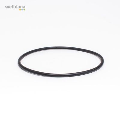 O-ring till kanister/filterlock t/inline Sonfarrel/RTL