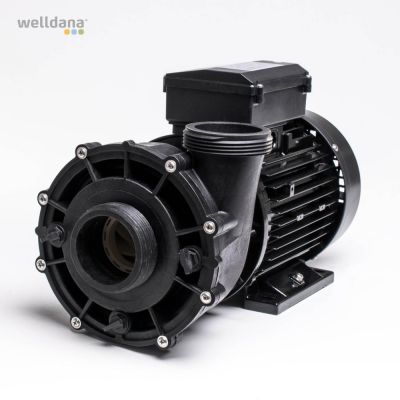 Spa pump 230V 250W