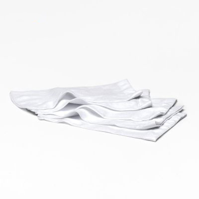 Mikrofilterpåsar (5 pack) till Aqua Brom – MAX LI – Catfish