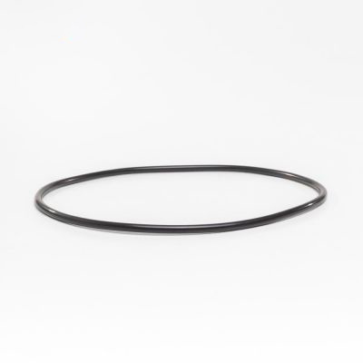 O-ring t. bag Difusor hus  InverPro pumpe   No 34