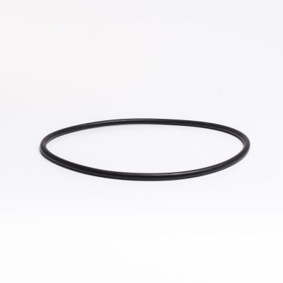 O-ring 164,47 x 5,33 mm