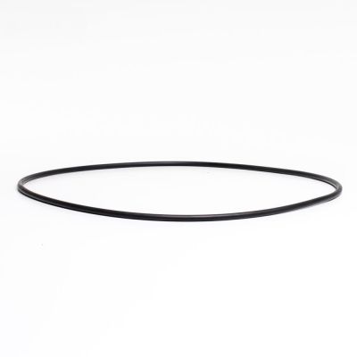 Stor O ring vådende / flange  Superpump Pro